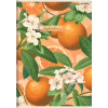 Zeszyt A5 60k kratka margines SUMMER 400181620 TOP 2000