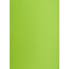 Karton kolorowy CREATINIO A2 160G (25 ark.) 66 jasnozielony 400150192 TOP 2000