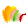 Piórka 4-6cm mix kolorów P-8925 ALIGA