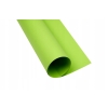 Karton kolorowy CREATINIO A2 160G (25 ark.) 66 jasnozielony 400150192 TOP 2000