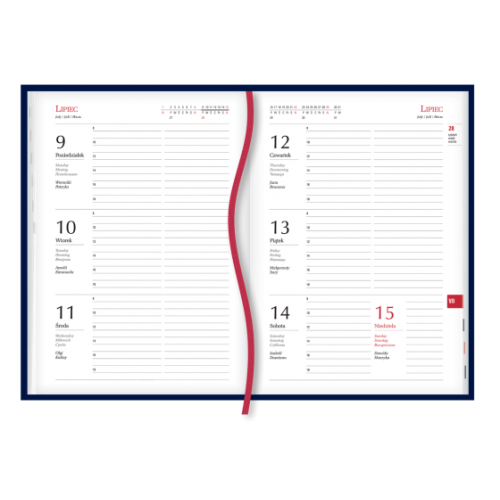 Terminarz A5 Popularny - c.brąz T-209V-S2 Michalczyk i Prokop