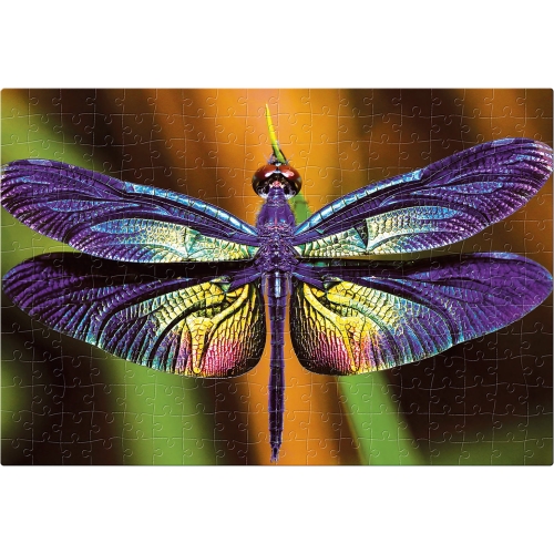 Puzzle 250 Colourful Nature 3 Dragonfly PUZ250CN3D INTERDRUK