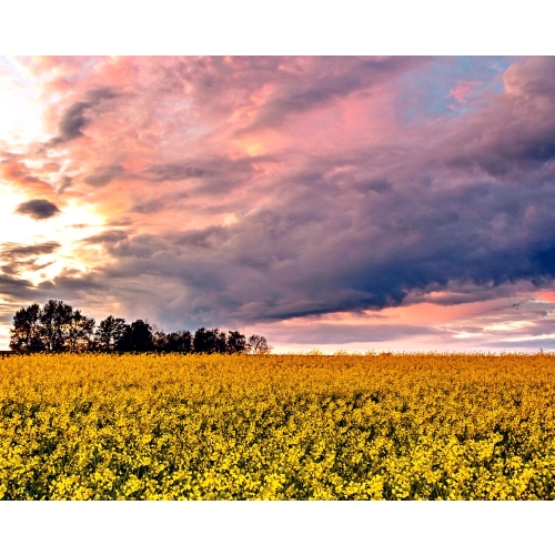 Kalendarz wieloplanszowy 13 kartkowy Polskie Krajobrazy W2 BESKIDY