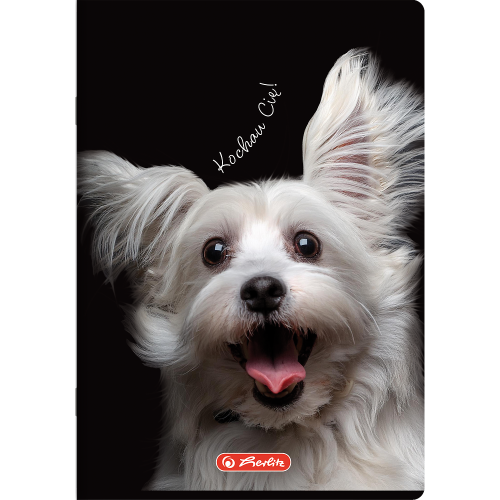 Zeszyt A5 16k kratka kolorowa CRAZY ANIMAL 400196855 HERLITZ