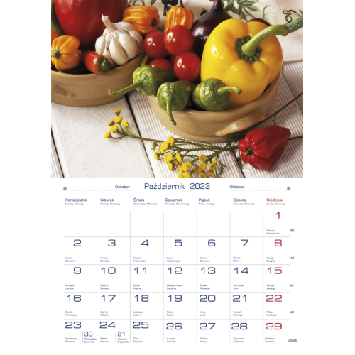 Terminarz DOMOWY - kuchenne klimaty TW-10-1 Michalczyk i Prokop