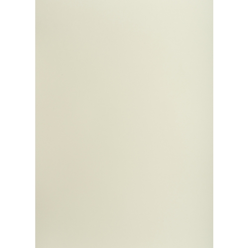 Karton kolorowy CREATINIO A1 160G (25 ark.) 93 jasnoszary 400149522 TOP 2000