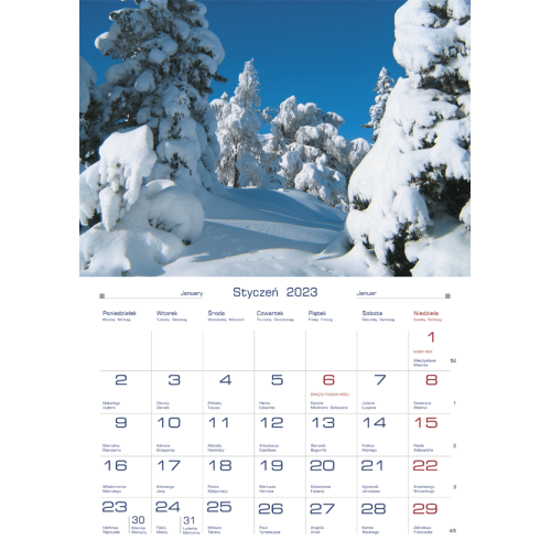 Terminarz DOMOWY - barwy natury TW-10-5 Michalczyk i Prokop