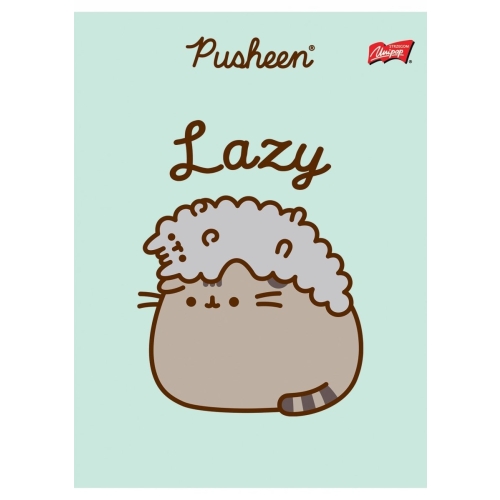 Zeszyt A5 32k 3linia kolorowa laminowany PUSHEEN