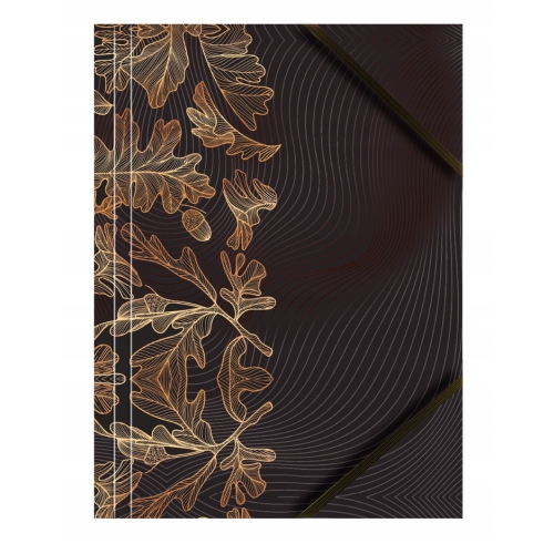 Teczka kartonowa A4 z gumką na rogach 350g. LIŚCIE (6sztuk) BT601-M2 TETIS