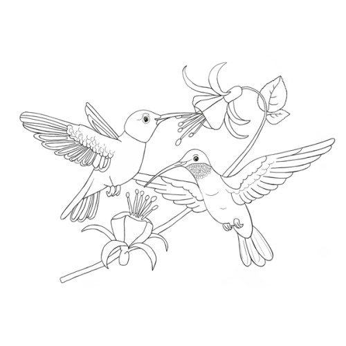 Kolorowanki A4, galeria 2 GAL-002