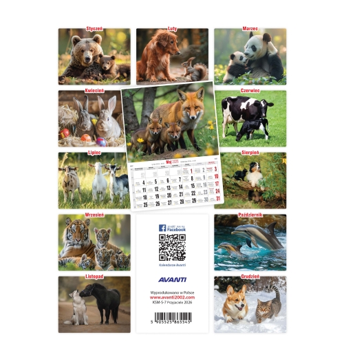 Kalendarz ścienny mały PRZYJACIELE KSM-S-7 AVANTI