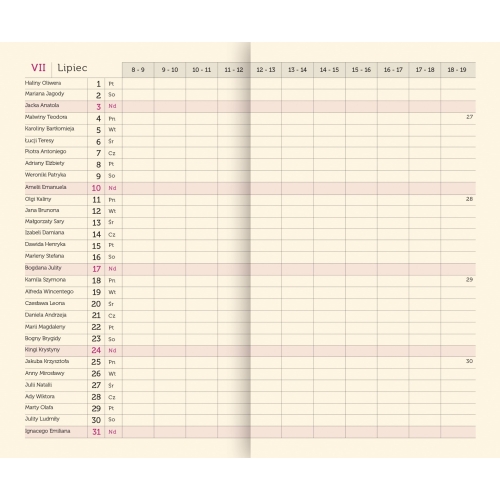 Terminarz Mini T-MINI-03 Michalczyk i Prokop