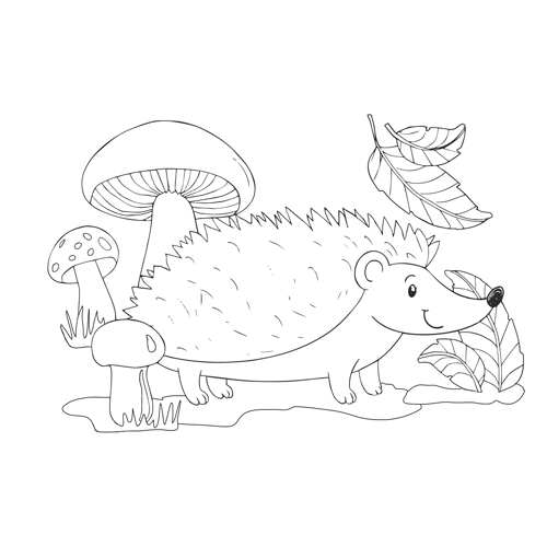 Kolorowanki B5, galeria 8 GAL-106