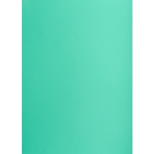 Karton kolorowy CREATINIO A1 160G (25 ark.) 64 turkusowy 400149554 TOP 2000
