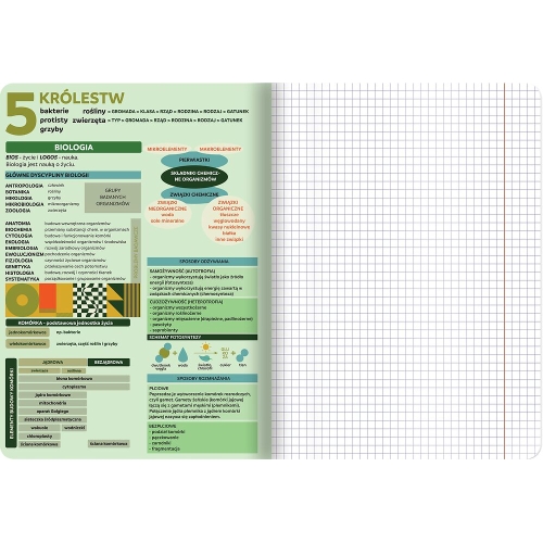 Zeszyt A5 60k kratka 70g ze ściągami BIOLOGIA 400169460 TOP 2000