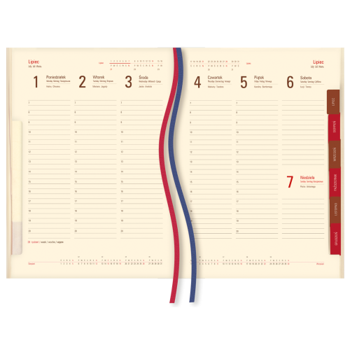 Terminarz B5 Asesor T-249N-59 Michalczyk i Prokop