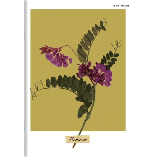 Zeszyt A5 80k linia margines MEGAMIX 400183668 TOP 2000