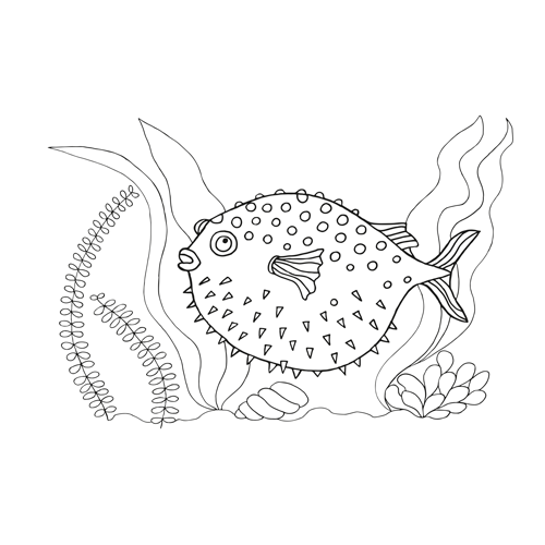 Kolorowanki B5, galeria 5 GAL-103