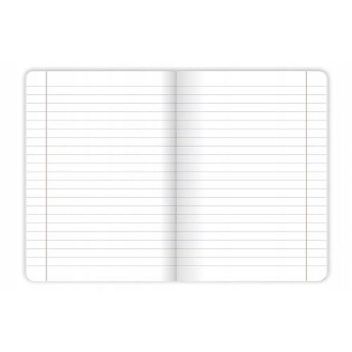 Zeszyt A5 60k kratka margines BIRDS EYE 400181622 TOP 2000