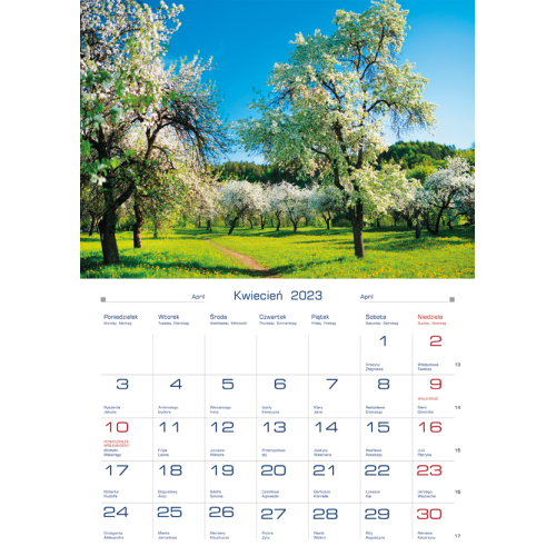 Terminarz DOMOWY - barwy natury TW-10-5 Michalczyk i Prokop