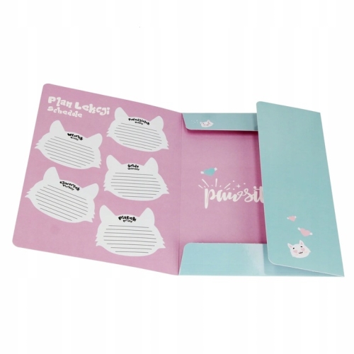 Teczka z gumką A4 KITTY 553545 STARPAK