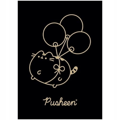 Zeszyt szkolny A5 60 kartek w kratkę laminowany PUSHEEN ST.MAJEWSKI