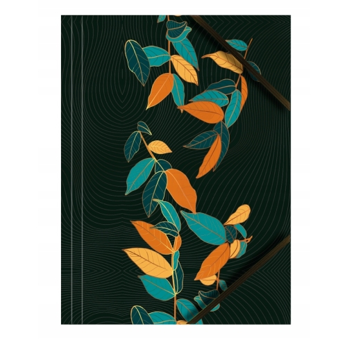 Teczka kartonowa A4 z gumką na rogach 350g. LIŚCIE (6sztuk) BT601-M2 TETIS