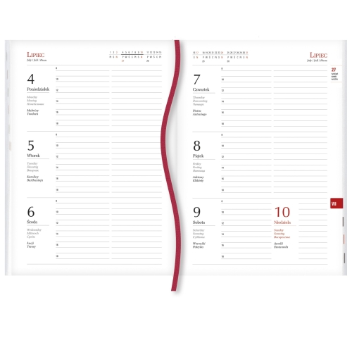 Terminarz A5 Popularny T-209F-04 Michalczyk i Prokop