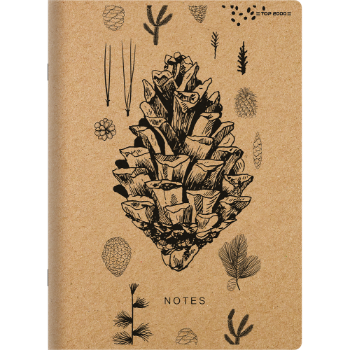 Zeszyt A5 60k linia GREEN 400155169 TOP