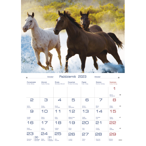 Terminarz DOMOWY - konie TW-10-6 Michalczyk i Prokop