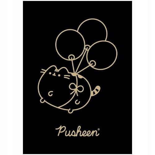 Zeszyt szkolny A5 60 kartek w kratkę laminowany PUSHEEN ST.MAJEWSKI