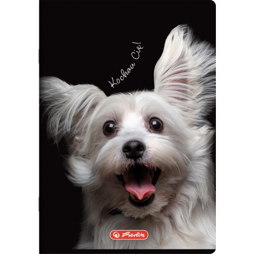 Zeszyt A4 60k kratka z marginesem CRAZY ANIMAL 400196844 HERLITZ