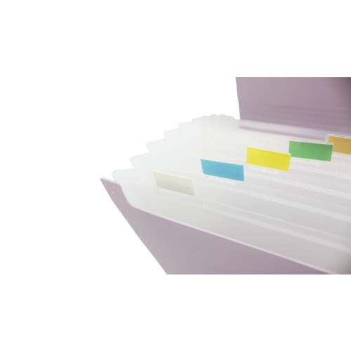 Teczka harmonijkowa A4 PP 13 przegródek róż MORANDI THM-A4-01 BIURFOL