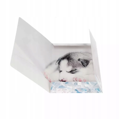 Teczka z gumką A4 PIESKI 559719 STARPAK