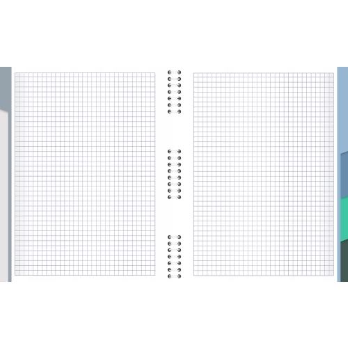 Kołozeszyt A4 100k kratka 5 przedmiotów STUDENT BOOK 400179520 TOP 2000
