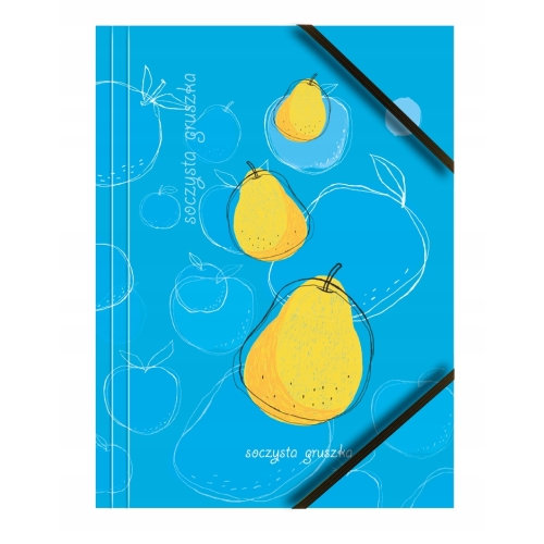 Teczka kartonowa A4 z gumką na rogach 350g. OWOCE (6sztuk) BT601-M1 TETIS