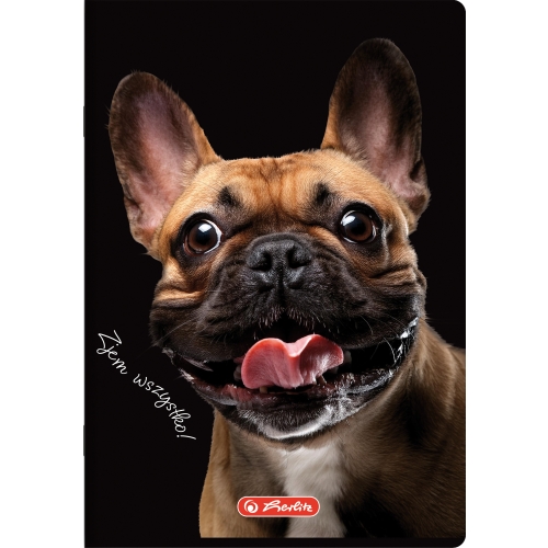 Zeszyt A5 80k kratka z marginesem CRAZY ANIMAL 400196839 HERLITZ