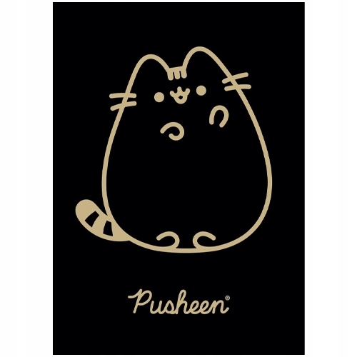 Zeszyt szkolny A5 60 kartek w kratkę laminowany PUSHEEN ST.MAJEWSKI