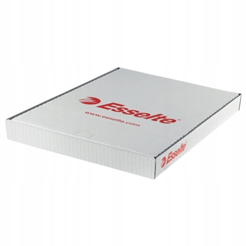 Koszulki krystaliczne A4 ESSELTE 55 mic. w pudełku (100szt.) 56066