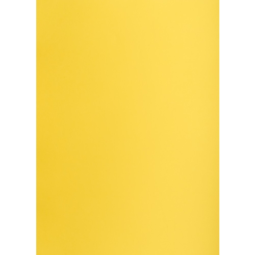 Karton kolorowy CREATINIO A1 160G (25 ark.) 55 żółty 400149553 TOP 2000
