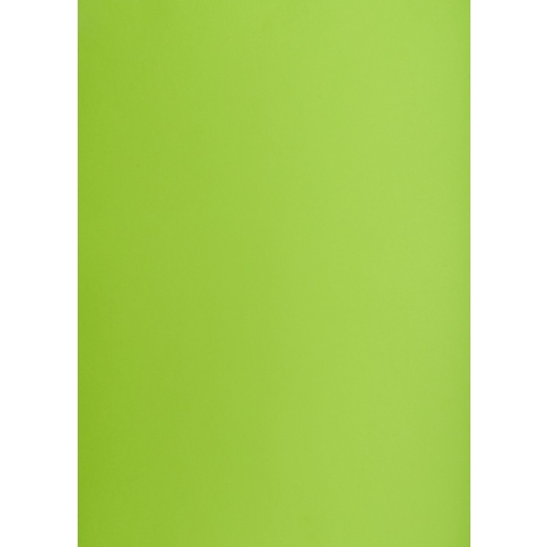 Karton kolorowy CREATINIO A2 160G (25 ark.) 66 jasnozielony 400150192 TOP 2000