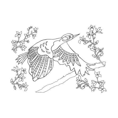 Kolorowanki B5, galeria 3 GAL-101