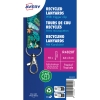 Smycz z karabińczykiem (10 sztuk) 440x20mm tropik R4828T AVERY