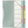 Teczka segregująca z 6 przekładkami ESSELTE COLOUR"ICE z 626255