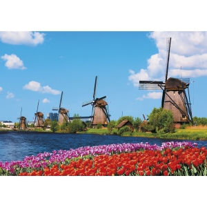 Kalendarz trójdzielny(H) T-106T-04 Michalczyk i Prokop