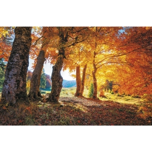 Terminarz ścienny T-107S-3 Michalczyk i Prokop