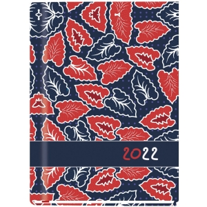 Terminarz A6 OLA T-212F-08 Michalczyk i Prokop