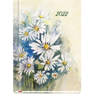 Terminarz B6 MARTA T-215F-04 Michalczyk i Prokop