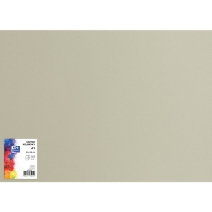 Blok karton kolorowy CREATINIO A1 160g 25 arkuszy nr.94 szary 400149523 TOP 2000