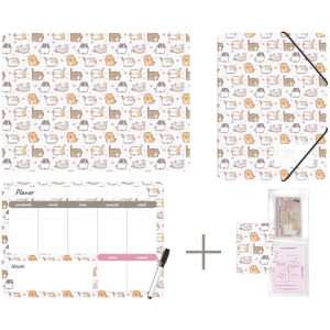 Zestaw szkolny z nadrukiem KITTENS KPL-NADRUK-01-35 BIURFOL